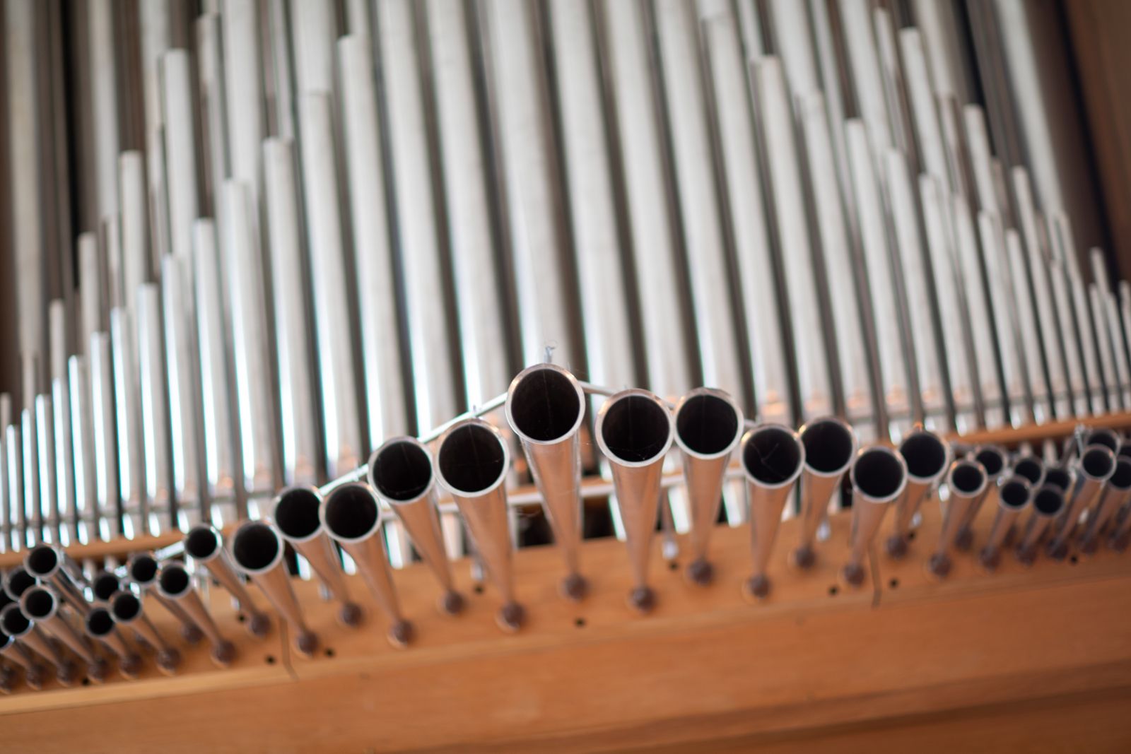 Close-up of graduated pipe organ pipe mouths